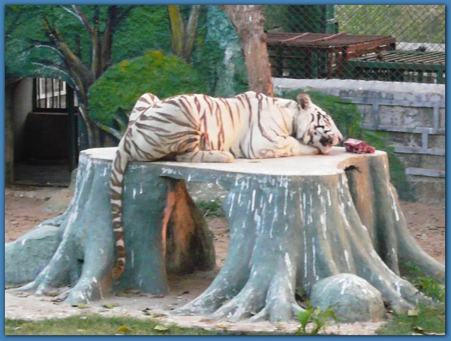 900x674 pixels (91K)